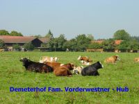 vorderwester_bild01